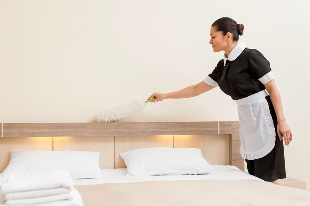 Maximizing Your Airbnb & Booking Ratings: The Cleanliness Factor